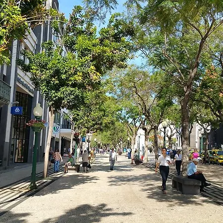 Homestay Edificio Charles 206